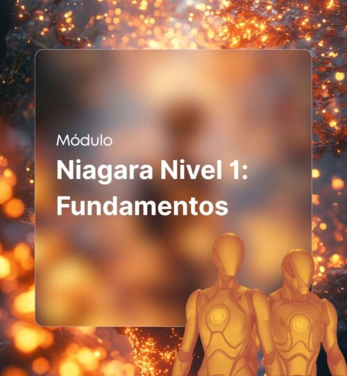 Niagara Nivel 1 Fundamentos