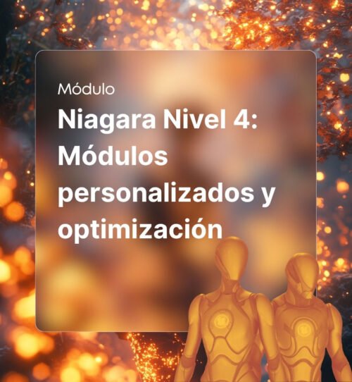 Niagara Nivel 4 Módulos personalizados y optimización